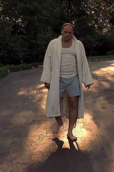 tony soprano versace robe|tony soprano style.